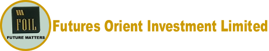 Future Orient Investment Ltd Logo